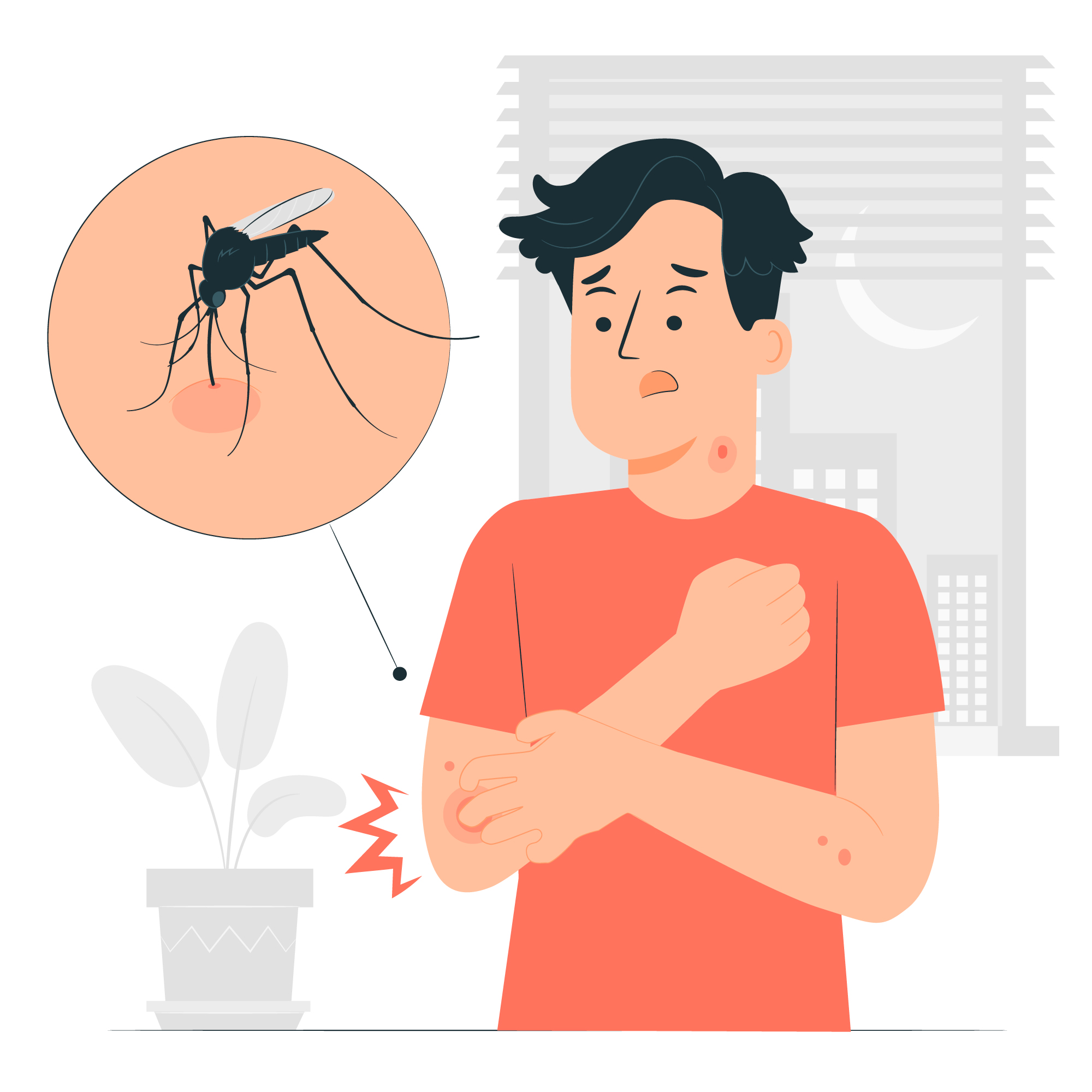 Exploring the Connection Between Mosquito Control and Dengue Prevention