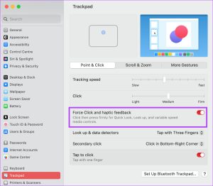 Fix Trackpad Gestures Not Working on Mac