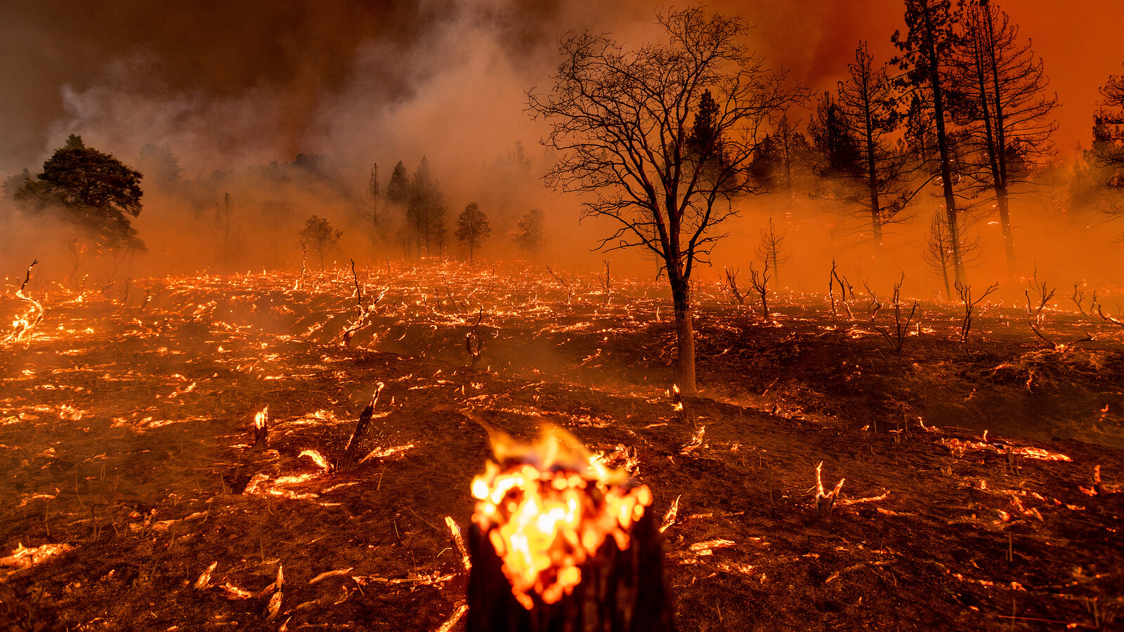 Maui’s Fatal Wildfires: Unmasking Escalating Risks