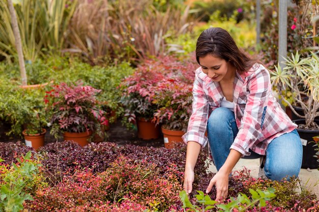 Budget-Friendly Small Garden Ideas for Enchanting Retreats