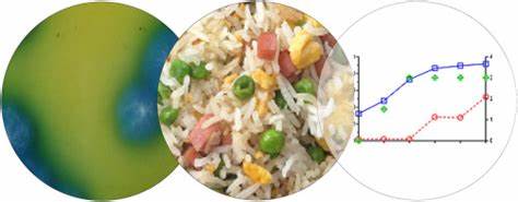 Avoiding Foodborne Illness: The Right Way to Store and Reheat Rice Dishes