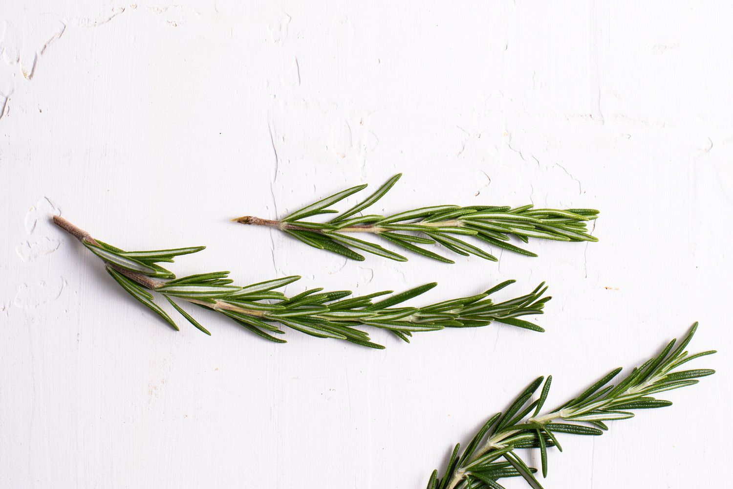 Tress Truths: Investigating the Claims of Homemade Rosemary Water on Hair Vitality