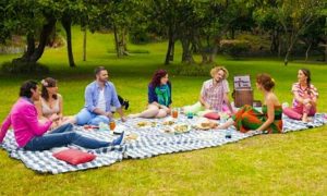 Picnic Etiquette: Dos and Don'ts