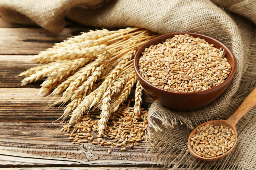 Uncover Wheat Allergies: Your Guide to Body Awareness