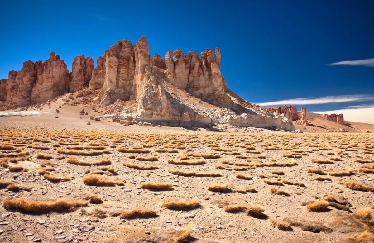 Chilean Odyssey A Deep Dive into Atacama's Enigmatic Beauty