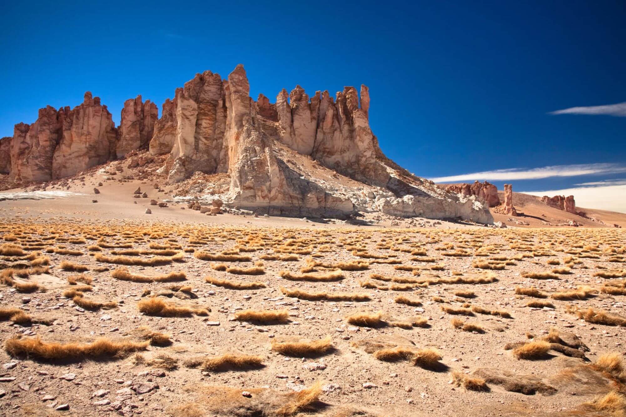 Chilean Odyssey A Deep Dive into Atacama’s Enigmatic Beauty