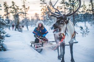 Finland's Magic Wonders with the Ultimate Top 10 Activities