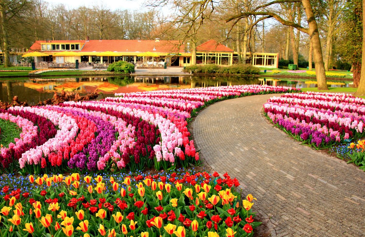Floral Bliss Crafting Timeless Memories in Keukenhof's Gardens