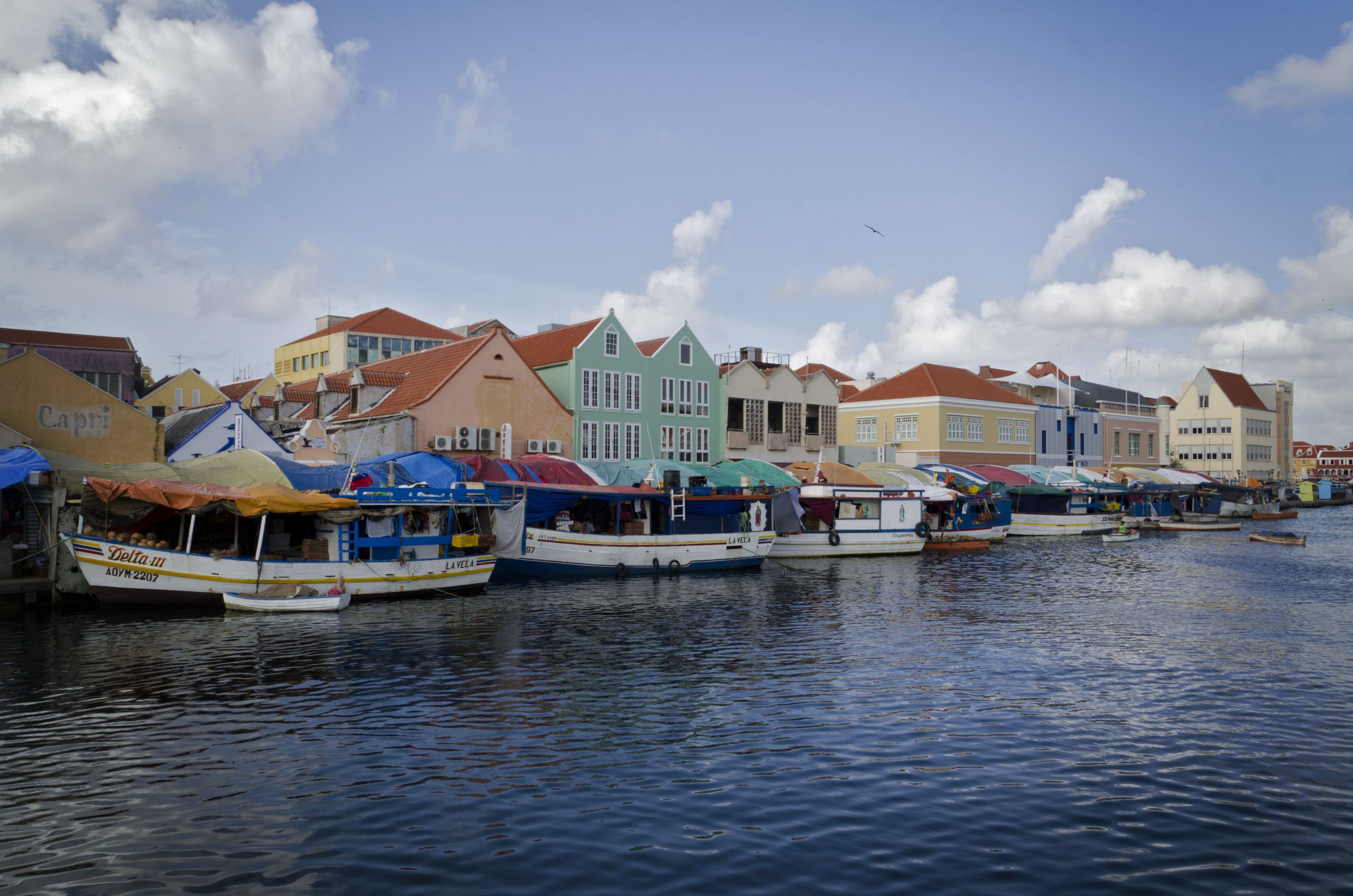 Curacao’s Paradise Activities for the Ultimate Island Bliss