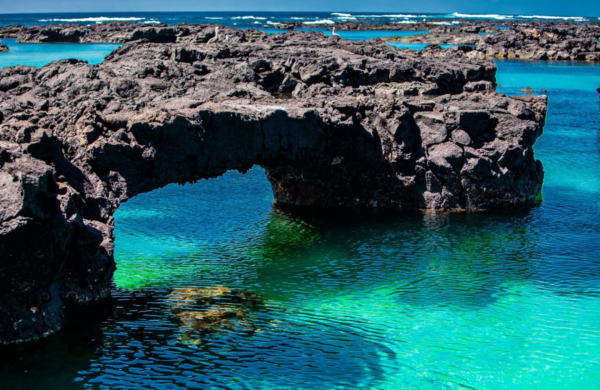 Untouched Wonders Irresistible Allure of Galapagos Islands