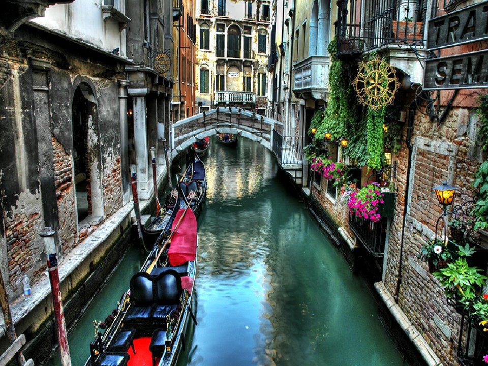 Venetian Splendor A Family's Grand Canal Odyssey Artistry