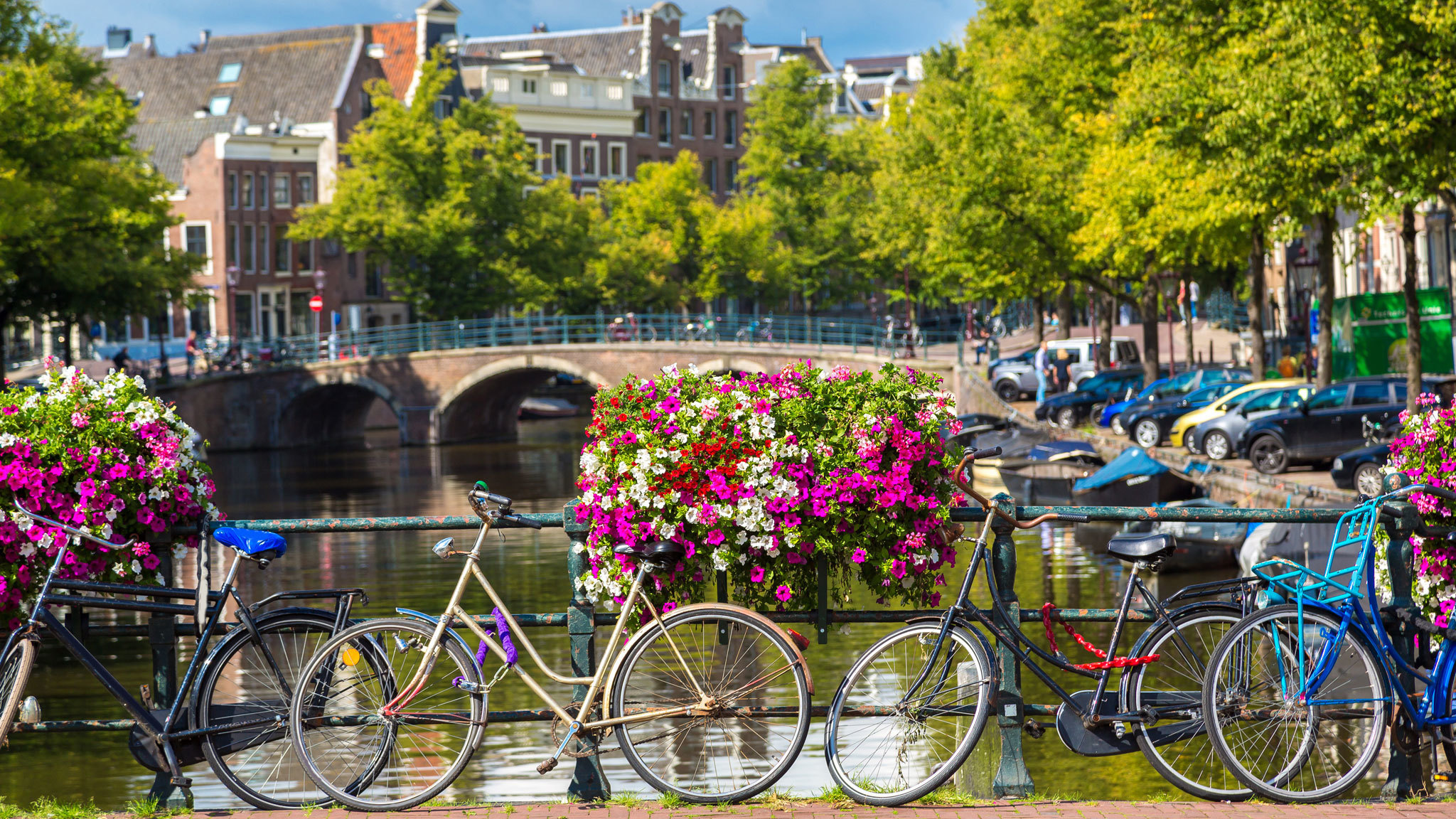 Amsterdam to Germany Day Trips Await Culture Collide