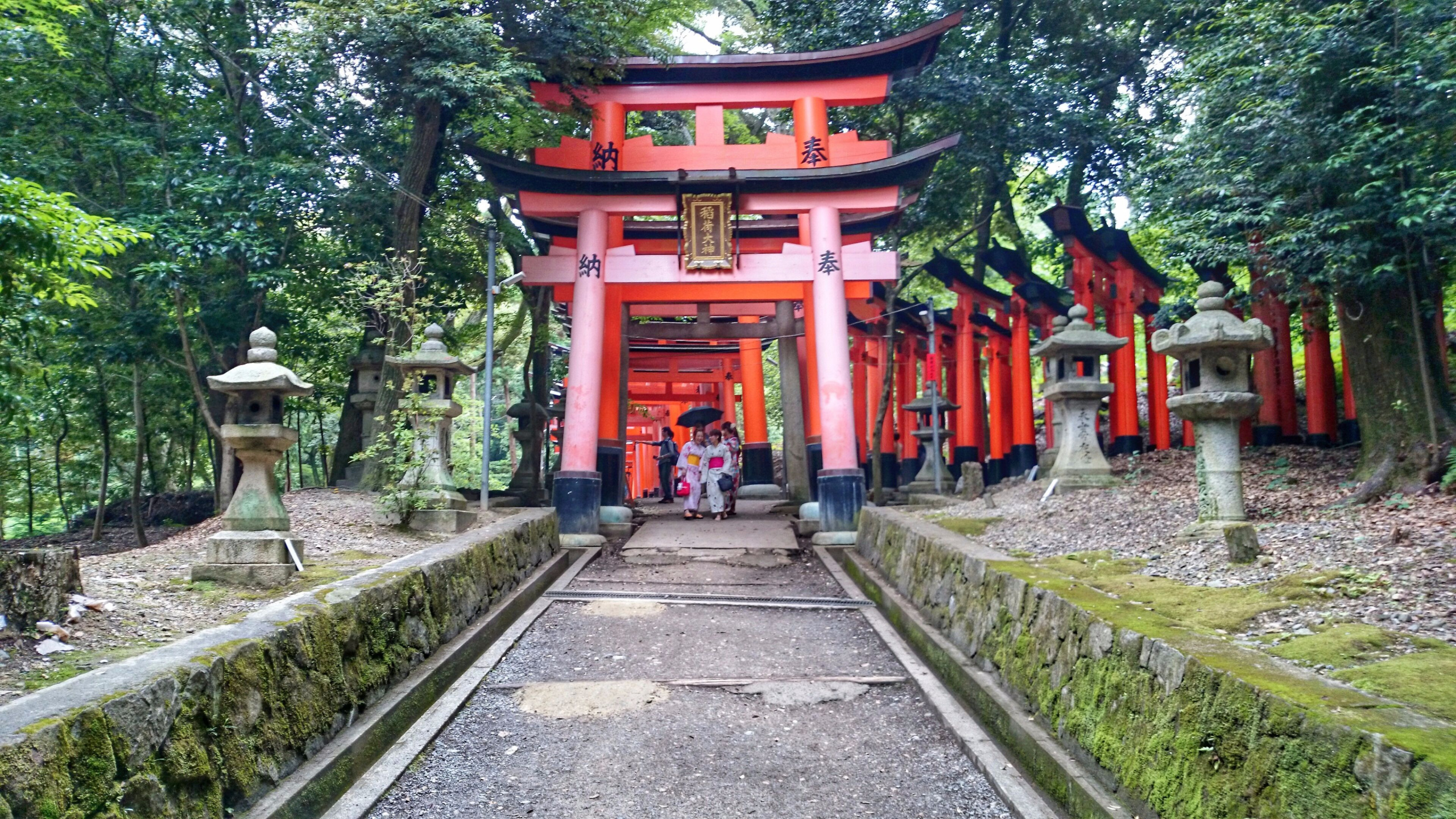 Kyoto’s Buddhist Temples Tranquil Sanctuaries