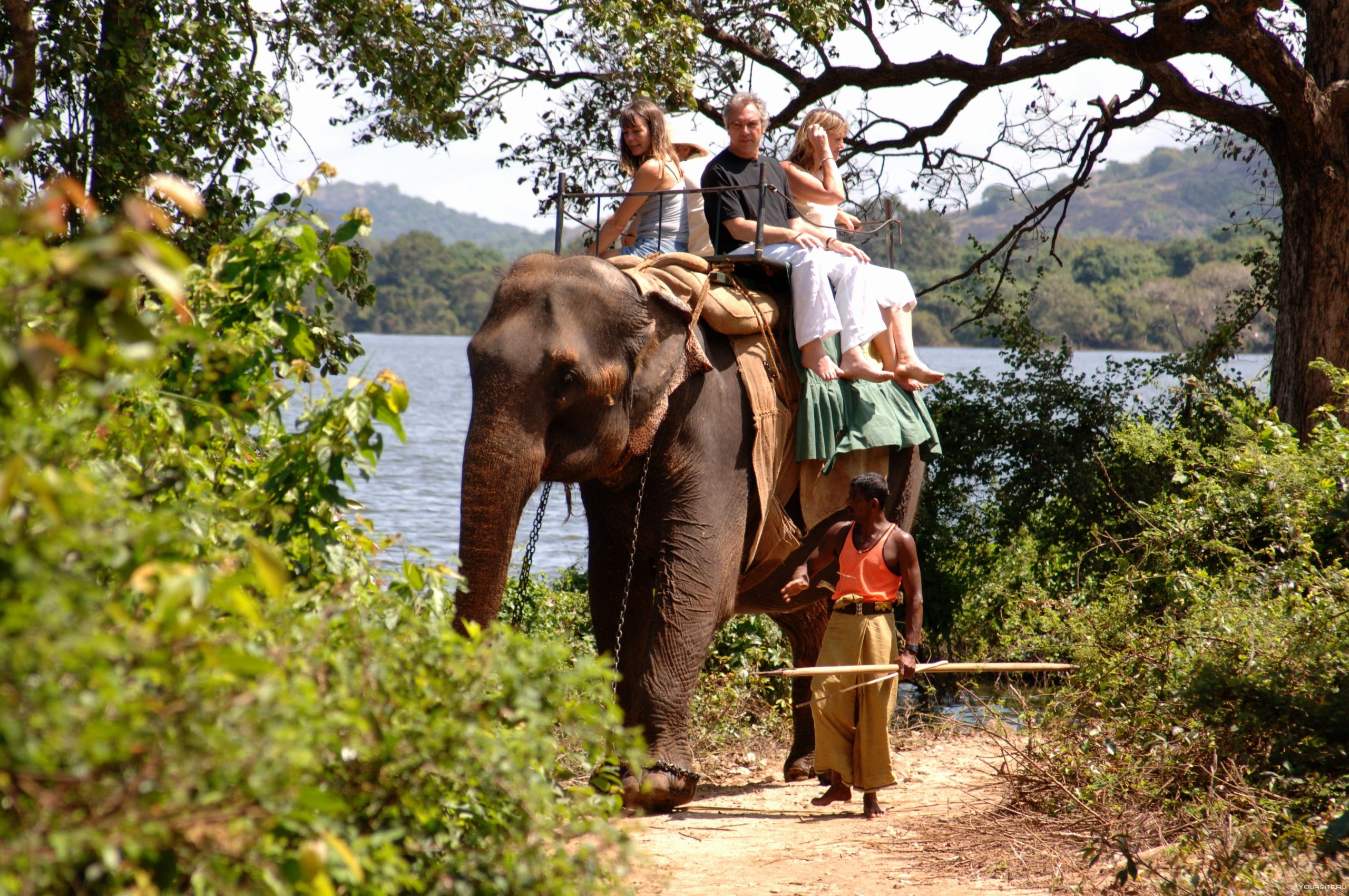 Unveiling Sri Lanka Essential Tours Adventurous Travelers