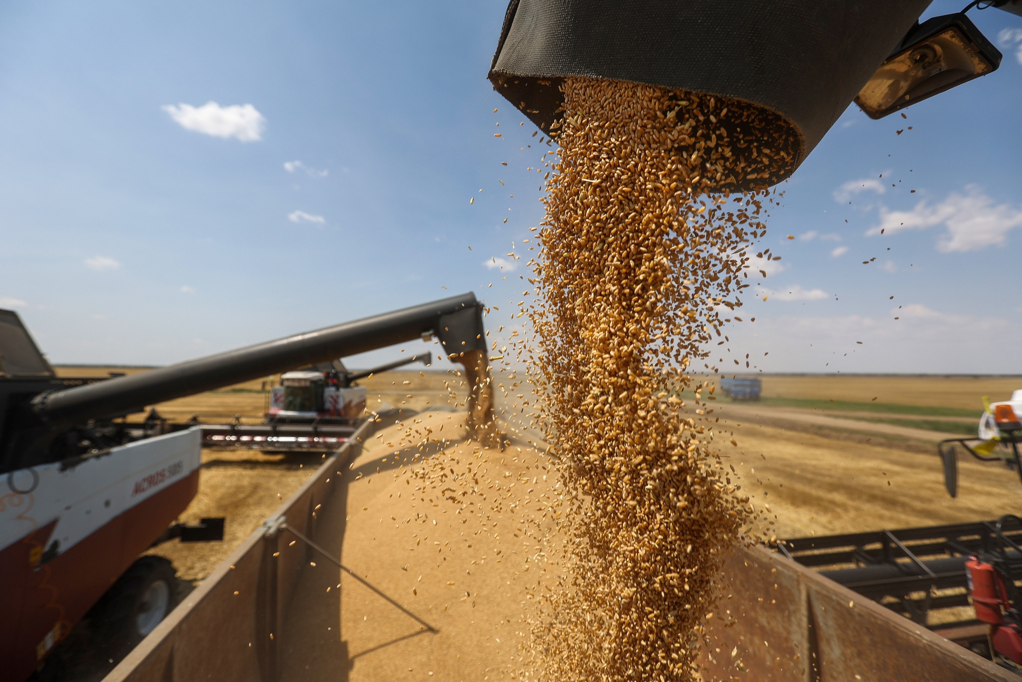 World Headed for ‘Food Wars’, Warns Major Commodities Trader