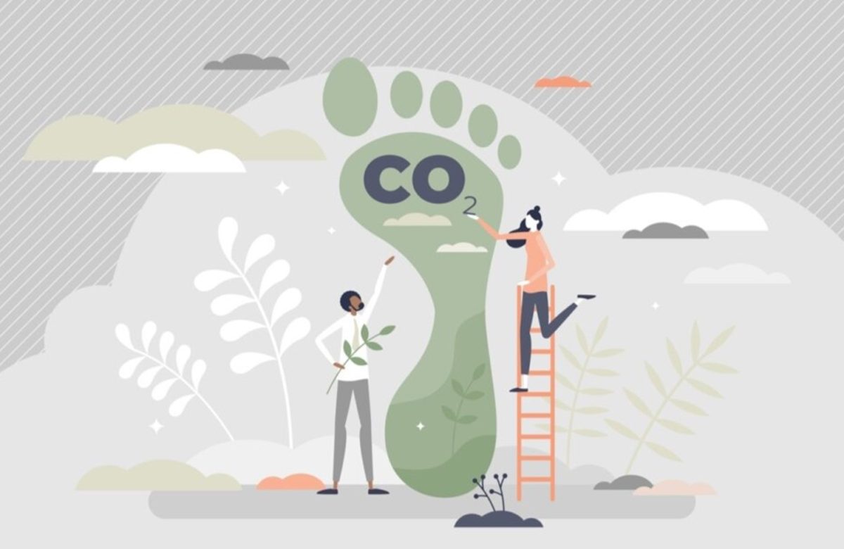 How to Reduce Your Carbon Footprint?
