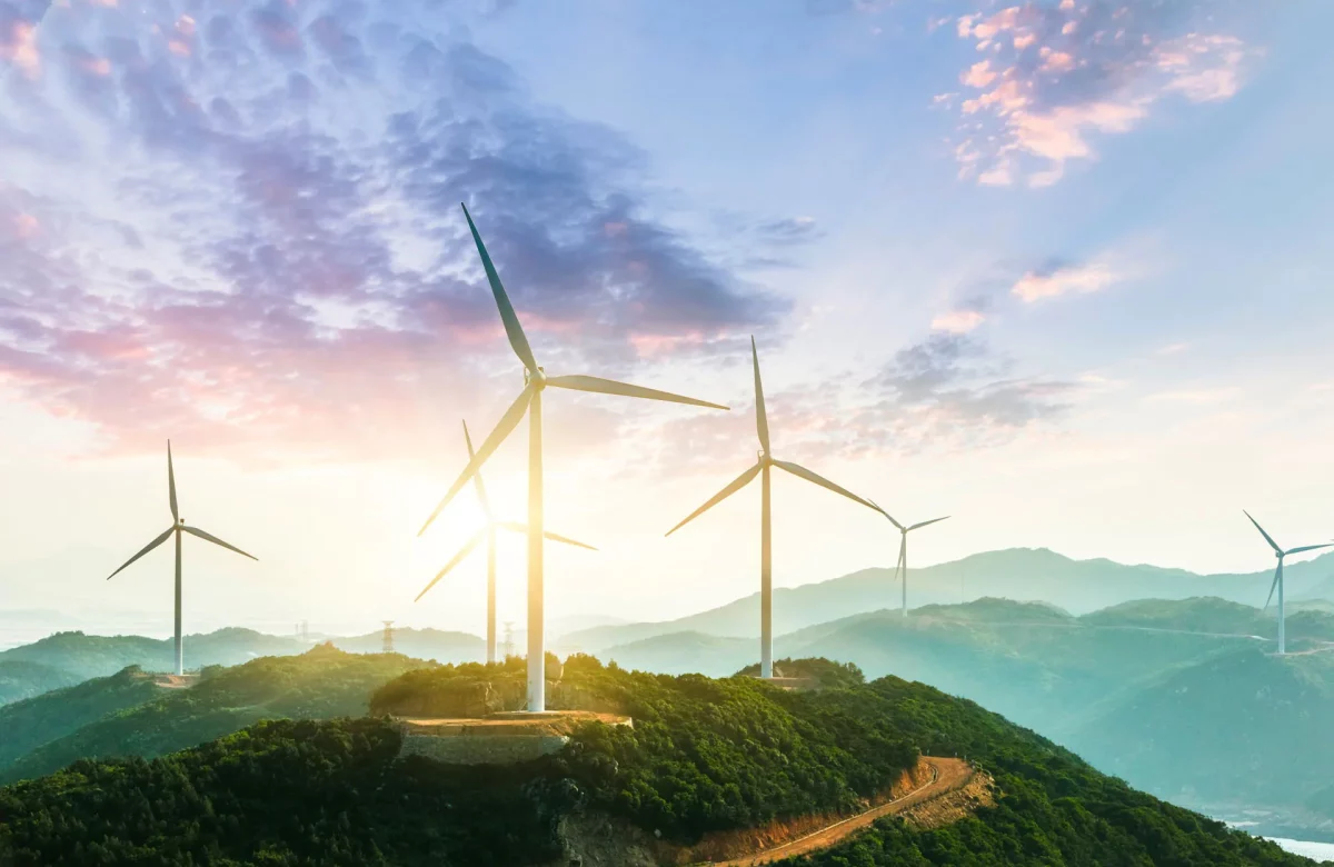 The Future of Renewable Energy Investments
