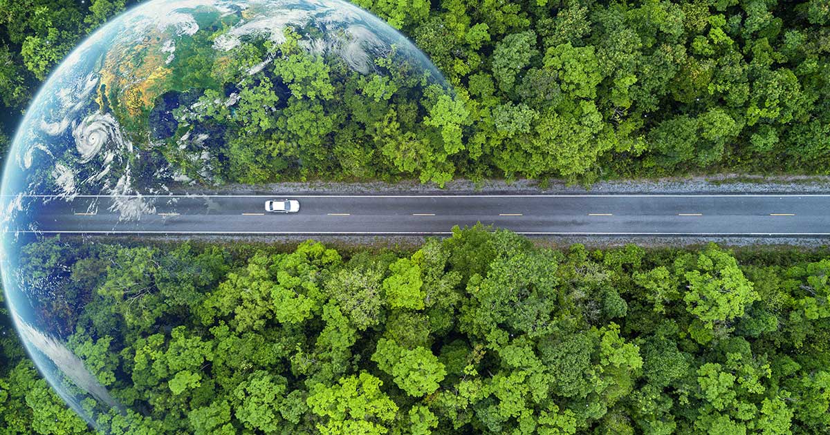 How Sustainable Travel is Shaping 2024?